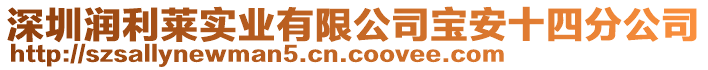 深圳潤利萊實業(yè)有限公司寶安十四分公司