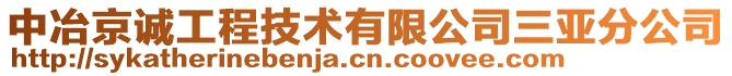 中冶京誠工程技術有限公司三亞分公司