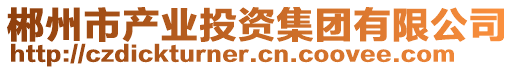 郴州市產(chǎn)業(yè)投資集團(tuán)有限公司