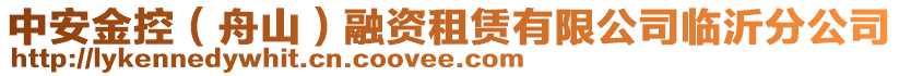 中安金控（舟山）融資租賃有限公司臨沂分公司