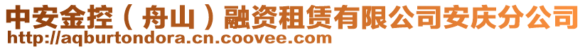 中安金控（舟山）融資租賃有限公司安慶分公司