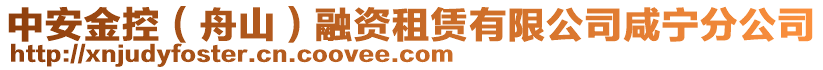 中安金控（舟山）融資租賃有限公司咸寧分公司