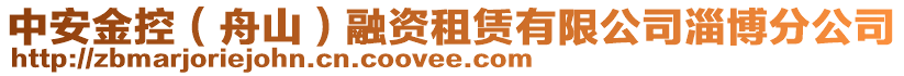 中安金控（舟山）融資租賃有限公司淄博分公司