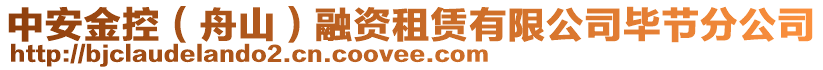 中安金控（舟山）融資租賃有限公司畢節(jié)分公司