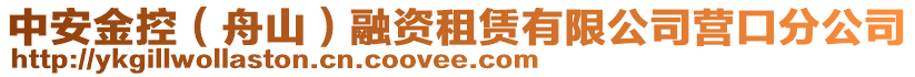中安金控(舟山)融資租賃有限公司營口分公司