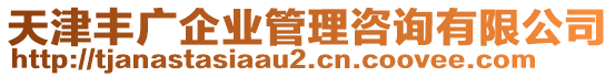 天津豐廣企業(yè)管理咨詢有限公司