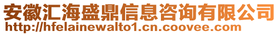 安徽匯海盛鼎信息咨詢有限公司