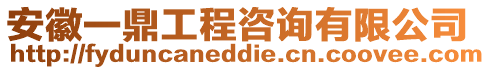 安徽一鼎工程咨詢有限公司