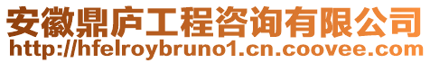 安徽鼎廬工程咨詢有限公司