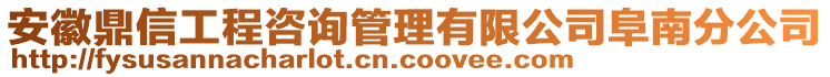 安徽鼎信工程咨詢管理有限公司阜南分公司