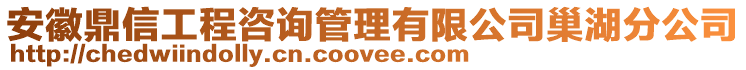 安徽鼎信工程咨詢管理有限公司巢湖分公司