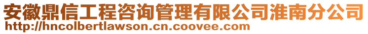 安徽鼎信工程咨詢管理有限公司淮南分公司