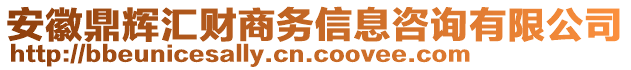 安徽鼎輝匯財商務信息咨詢有限公司