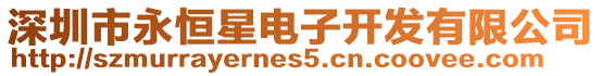 深圳市永恒星電子開發有限公司