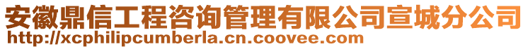 安徽鼎信工程咨詢管理有限公司宣城分公司