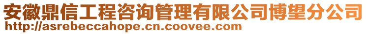 安徽鼎信工程咨詢管理有限公司博望分公司