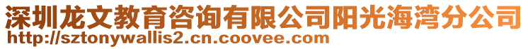 深圳龍文教育咨詢有限公司陽光海灣分公司