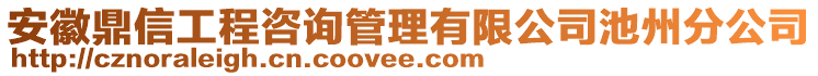 安徽鼎信工程咨詢管理有限公司池州分公司