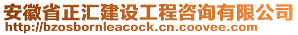 安徽省正匯建設工程咨詢有限公司