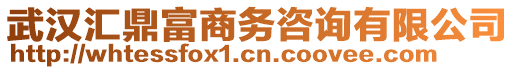 武漢匯鼎富商務咨詢有限公司