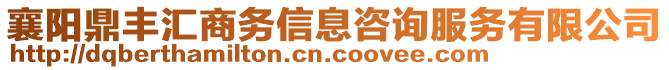 襄陽鼎豐匯商務(wù)信息咨詢服務(wù)有限公司