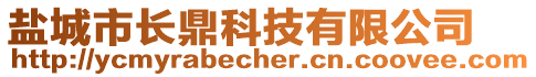 鹽城市長鼎科技有限公司