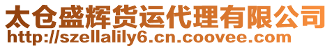 太倉(cāng)盛輝貨運(yùn)代理有限公司