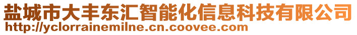 鹽城市大豐東匯智能化信息科技有限公司