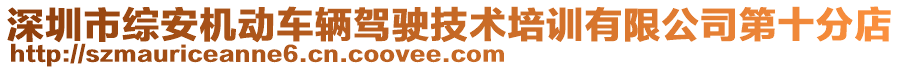 深圳市綜安機動車輛駕駛技術(shù)培訓(xùn)有限公司第十分店