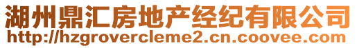 湖州鼎匯房地產(chǎn)經(jīng)紀(jì)有限公司