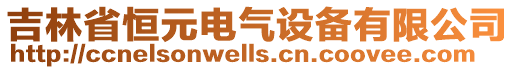 吉林省恒元電氣設備有限公司