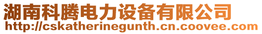 湖南科騰電力設備有限公司