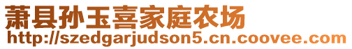 蕭縣孫玉喜家庭農場