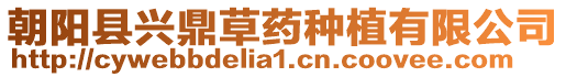朝陽縣興鼎草藥種植有限公司