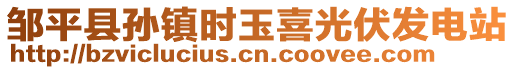 鄒平縣孫鎮時玉喜光伏發電站