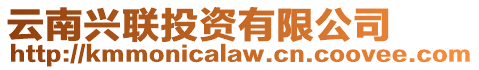 云南興聯投資有限公司