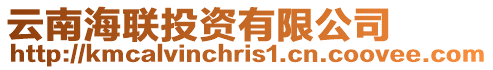 云南海聯投資有限公司