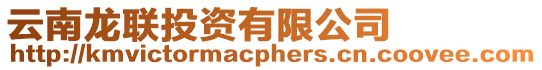 云南龍聯投資有限公司