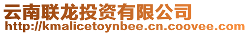 云南聯龍投資有限公司