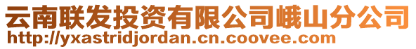 云南聯發投資有限公司峨山分公司