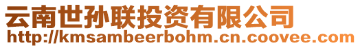 云南世孫聯投資有限公司