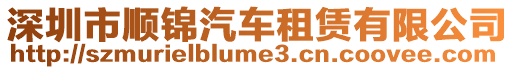 深圳市順錦汽車租賃有限公司