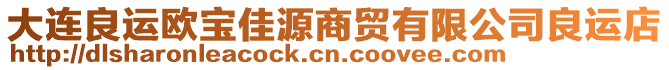大連良運歐寶佳源商貿有限公司良運店