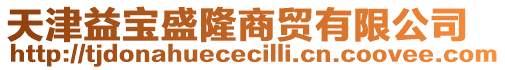 天津益寶盛隆商貿有限公司