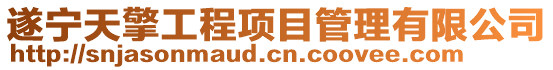 遂寧天擎工程項目管理有限公司