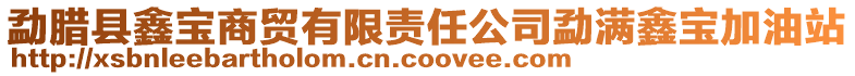 勐臘縣鑫寶商貿有限責任公司勐滿鑫寶加油站