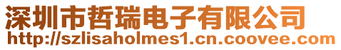 深圳市哲瑞電子有限公司