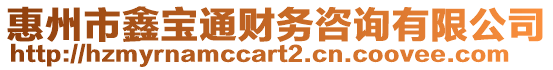 惠州市鑫寶通財(cái)務(wù)咨詢有限公司