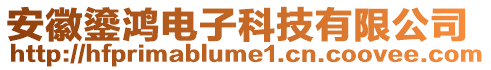 安徽鎏鴻電子科技有限公司