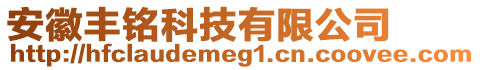 安徽豐銘科技有限公司